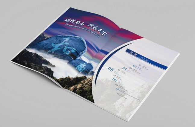 企業(yè)畫冊(cè)印刷 企業(yè)畫冊(cè)印刷