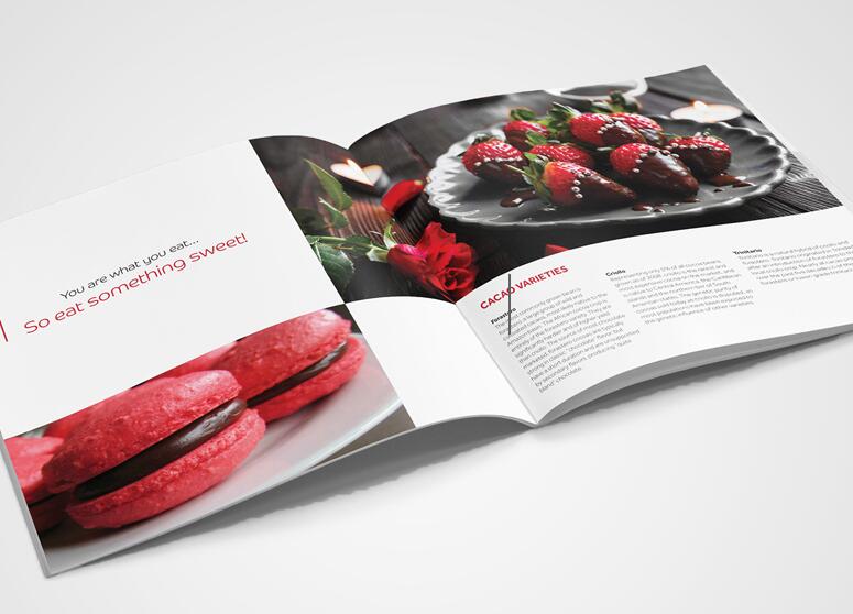 畫(huà)冊(cè)印刷 畫(huà)冊(cè)印刷